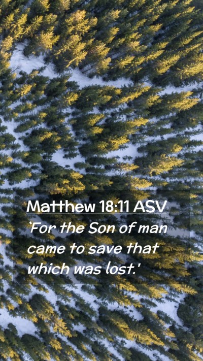 Picture 02 - Matthew 18:11 ASV Mobile Phone Wallpaper - `For the Son of man came to save that which was - Mobile Bible Verse Wallpaper