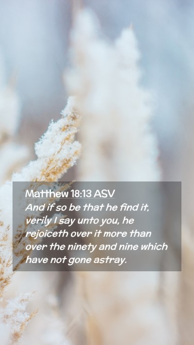Picture 02 - Matthew 18:13 ASV Mobile Phone Wallpaper - And if so be that he find it, verily I say unto - Mobile Bible Verse Wallpaper