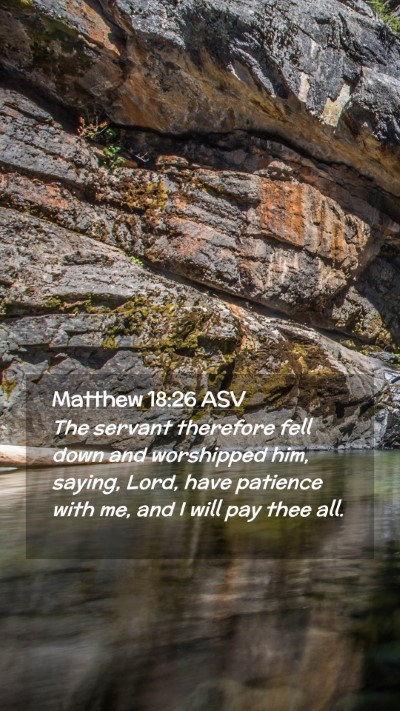 Picture 02 - Matthew 18:26 ASV Mobile Phone Wallpaper - The servant therefore fell down and worshipped - Mobile Bible Verse Wallpaper