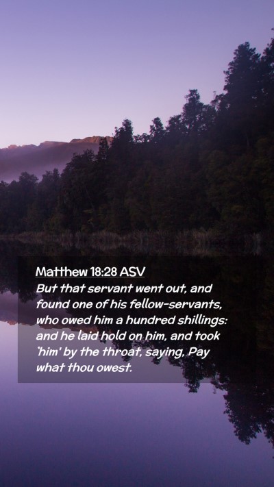 Picture 02 - Matthew 18:28 ASV Mobile Phone Wallpaper - But that servant went out, and found one of his - Mobile Bible Verse Wallpaper
