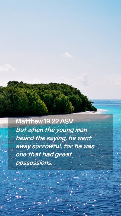 Picture 02 - Matthew 19:22 ASV Mobile Phone Wallpaper - But when the young man heard the saying, he went - Mobile Bible Verse Wallpaper