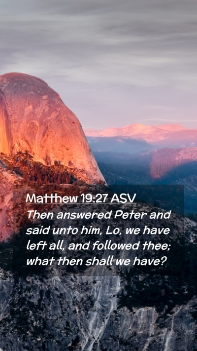 Picture 02 - Matthew 19:27 ASV Mobile Phone Wallpaper - Then answered Peter and said unto him, Lo, we - Mobile Bible Verse Wallpaper
