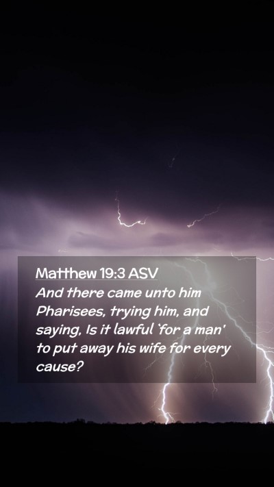 Picture 02 - Matthew 19:3 ASV Mobile Phone Wallpaper - And there came unto him Pharisees, trying him, - Mobile Bible Verse Wallpaper