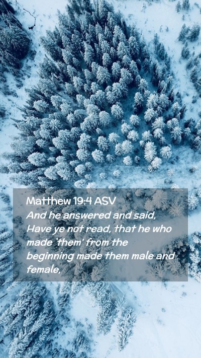 Picture 02 - Matthew 19:4 ASV Mobile Phone Wallpaper - And he answered and said, Have ye not read, that - Mobile Bible Verse Wallpaper