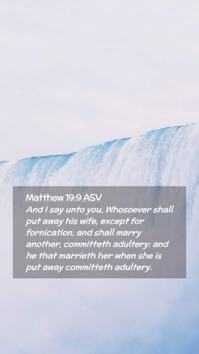 Picture 02 - Matthew 19:9 ASV Mobile Phone Wallpaper - And I say unto you, Whosoever shall put away his - Mobile Bible Verse Wallpaper