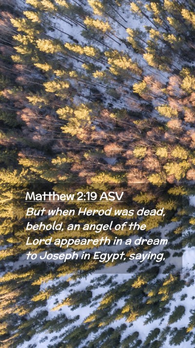 Picture 02 - Matthew 2:19 ASV Mobile Phone Wallpaper - But when Herod was dead, behold, an angel of the - Mobile Bible Verse Wallpaper