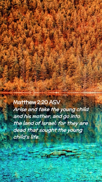 Picture 02 - Matthew 2:20 ASV Mobile Phone Wallpaper - Arise and take the young child and his mother, - Mobile Bible Verse Wallpaper
