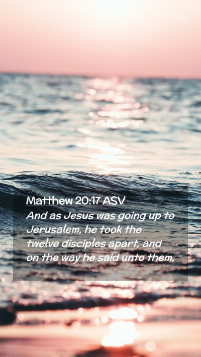 Picture 02 - Matthew 20:17 ASV Mobile Phone Wallpaper - And as Jesus was going up to Jerusalem, he took - Mobile Bible Verse Wallpaper
