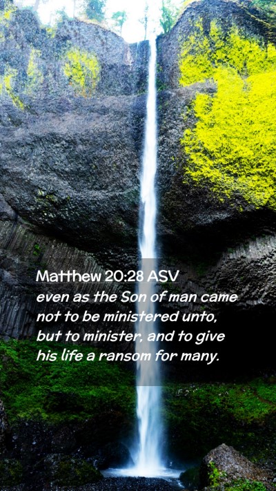 Picture 02 - Matthew 20:28 ASV Mobile Phone Wallpaper - even as the Son of man came not to be ministered - Mobile Bible Verse Wallpaper