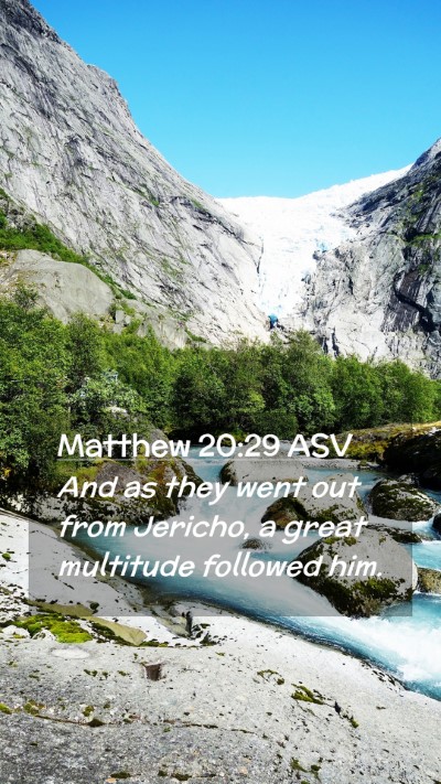Picture 02 - Matthew 20:29 ASV Mobile Phone Wallpaper - And as they went out from Jericho, a great - Mobile Bible Verse Wallpaper