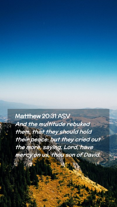 Picture 02 - Matthew 20:31 ASV Mobile Phone Wallpaper - And the multitude rebuked them, that they should - Mobile Bible Verse Wallpaper