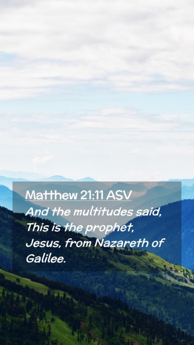 Picture 02 - Matthew 21:11 ASV Mobile Phone Wallpaper - And the multitudes said, This is the prophet, - Mobile Bible Verse Wallpaper