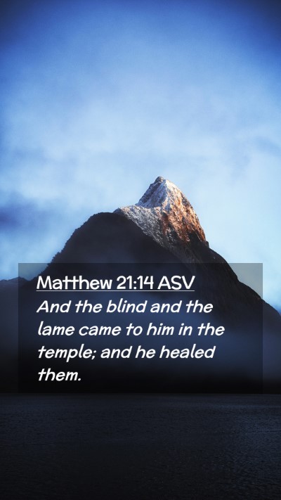 Picture 02 - Matthew 21:14 ASV Mobile Phone Wallpaper - And the blind and the lame came to him in the - Mobile Bible Verse Wallpaper