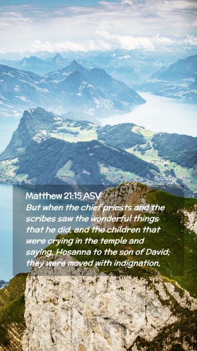 Picture 02 - Matthew 21:15 ASV Mobile Phone Wallpaper - But when the chief priests and the scribes saw - Mobile Bible Verse Wallpaper