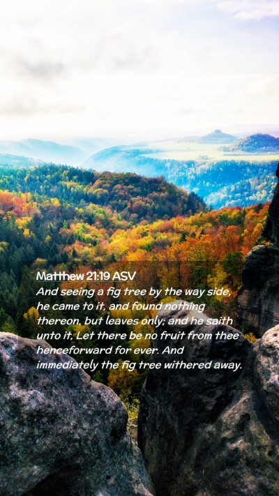 Picture 02 - Matthew 21:19 ASV Mobile Phone Wallpaper - And seeing a fig tree by the way side, he came to - Mobile Bible Verse Wallpaper