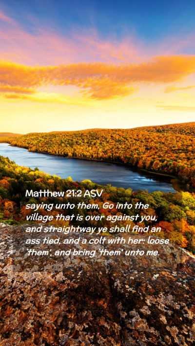Picture 02 - Matthew 21:2 ASV Mobile Phone Wallpaper - saying unto them, Go into the village that is - Mobile Bible Verse Wallpaper