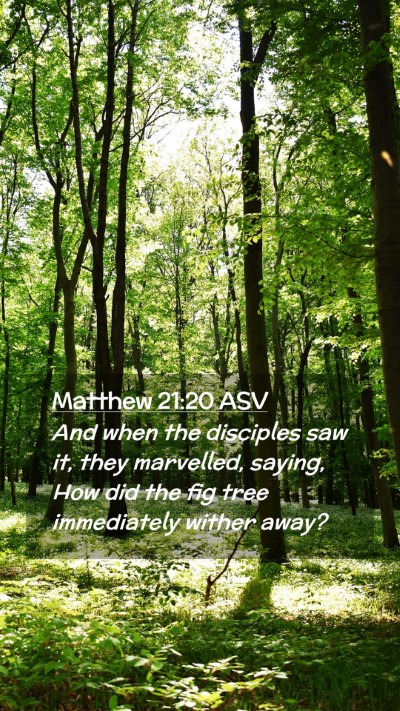 Picture 02 - Matthew 21:20 ASV Mobile Phone Wallpaper - And when the disciples saw it, they marvelled, - Mobile Bible Verse Wallpaper