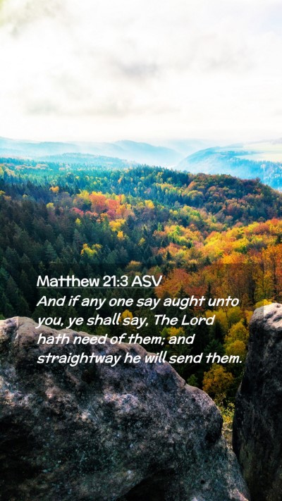 Picture 02 - Matthew 21:3 ASV Mobile Phone Wallpaper - And if any one say aught unto you, ye shall say, - Mobile Bible Verse Wallpaper