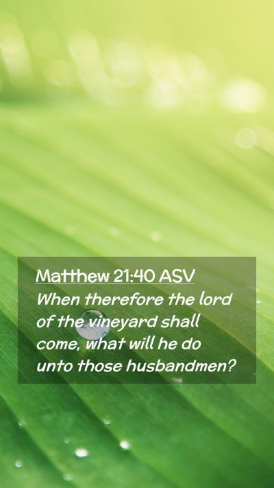 Picture 02 - Matthew 21:40 ASV Mobile Phone Wallpaper - When therefore the lord of the vineyard shall - Mobile Bible Verse Wallpaper