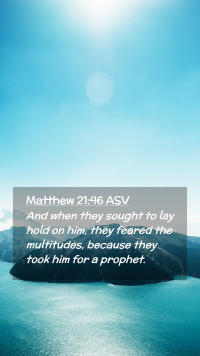 Picture 02 - Matthew 21:46 ASV Mobile Phone Wallpaper - And when they sought to lay hold on him, they - Mobile Bible Verse Wallpaper