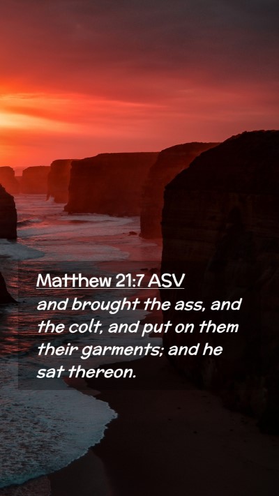Picture 02 - Matthew 21:7 ASV Mobile Phone Wallpaper - and brought the ass, and the colt, and put on - Mobile Bible Verse Wallpaper