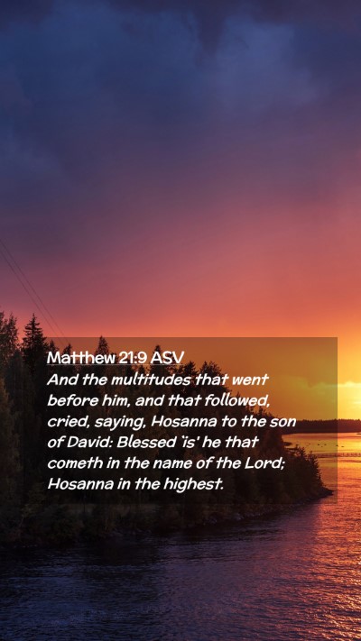 Picture 02 - Matthew 21:9 ASV Mobile Phone Wallpaper - And the multitudes that went before him, and that - Mobile Bible Verse Wallpaper