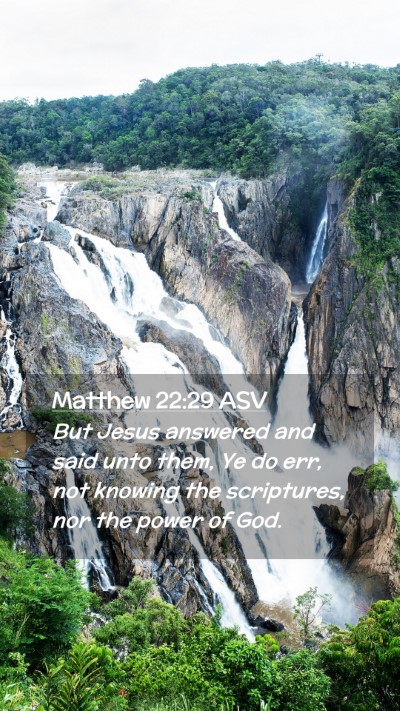Picture 02 - Matthew 22:29 ASV Mobile Phone Wallpaper - But Jesus answered and said unto them, Ye do err, - Mobile Bible Verse Wallpaper