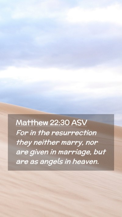 Picture 02 - Matthew 22:30 ASV Mobile Phone Wallpaper - For in the resurrection they neither marry, nor - Mobile Bible Verse Wallpaper