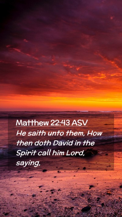 Picture 02 - Matthew 22:43 ASV Mobile Phone Wallpaper - He saith unto them, How then doth David in the - Mobile Bible Verse Wallpaper