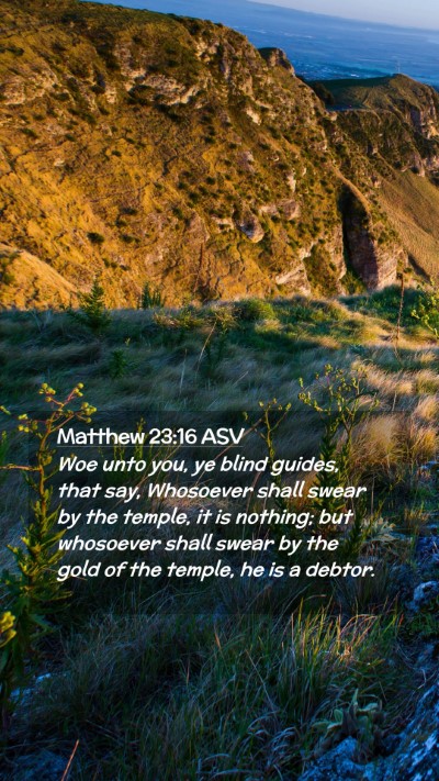 Picture 02 - Matthew 23:16 ASV Mobile Phone Wallpaper - Woe unto you, ye blind guides, that say, - Mobile Bible Verse Wallpaper