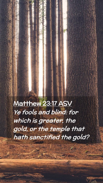 Picture 02 - Matthew 23:17 ASV Mobile Phone Wallpaper - Ye fools and blind: for which is greater, the - Mobile Bible Verse Wallpaper