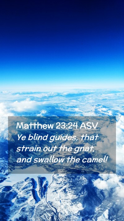 Picture 02 - Matthew 23:24 ASV Mobile Phone Wallpaper - Ye blind guides, that strain out the gnat, and - Mobile Bible Verse Wallpaper