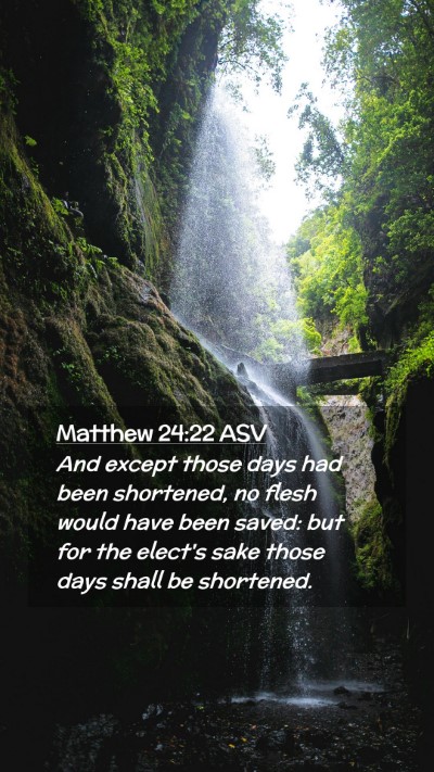 Picture 02 - Matthew 24:22 ASV Mobile Phone Wallpaper - And except those days had been shortened, no - Mobile Bible Verse Wallpaper