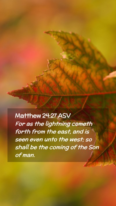 Picture 02 - Matthew 24:27 ASV Mobile Phone Wallpaper - For as the lightning cometh forth from the east, - Mobile Bible Verse Wallpaper