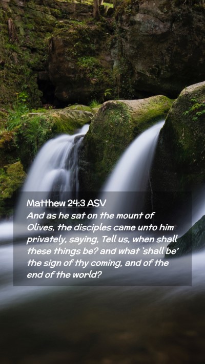 Picture 02 - Matthew 24:3 ASV Mobile Phone Wallpaper - And as he sat on the mount of Olives, the - Mobile Bible Verse Wallpaper
