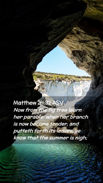Picture 02 - Matthew 24:32 ASV Mobile Phone Wallpaper - Now from the fig tree learn her parable: when her - Mobile Bible Verse Wallpaper