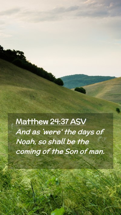 Picture 02 - Matthew 24:37 ASV Mobile Phone Wallpaper - And as `were' the days of Noah, so shall be the - Mobile Bible Verse Wallpaper