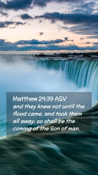 Picture 02 - Matthew 24:39 ASV Mobile Phone Wallpaper - and they knew not until the flood came, and took - Mobile Bible Verse Wallpaper