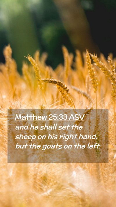 Picture 02 - Matthew 25:33 ASV Mobile Phone Wallpaper - and he shall set the sheep on his right hand, but - Mobile Bible Verse Wallpaper