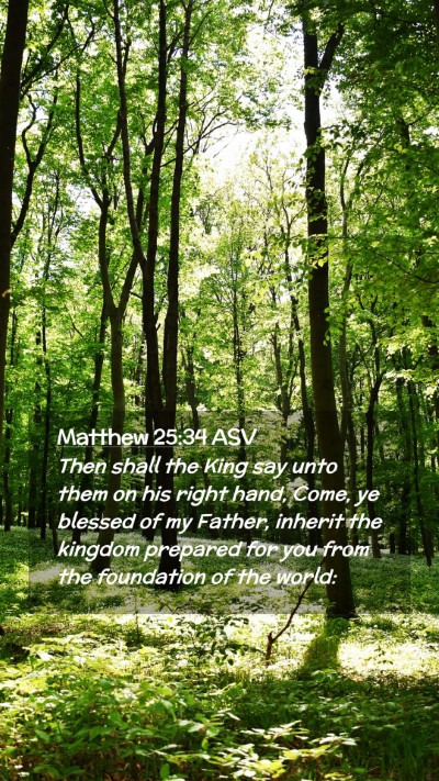 Picture 02 - Matthew 25:34 ASV Mobile Phone Wallpaper - Then shall the King say unto them on his right - Mobile Bible Verse Wallpaper