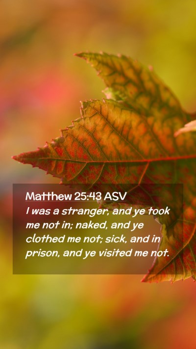 Picture 02 - Matthew 25:43 ASV Mobile Phone Wallpaper - I was a stranger, and ye took me not in; naked, - Mobile Bible Verse Wallpaper