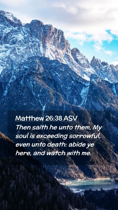 Picture 02 - Matthew 26:38 ASV Mobile Phone Wallpaper - Then saith he unto them, My soul is exceeding - Mobile Bible Verse Wallpaper