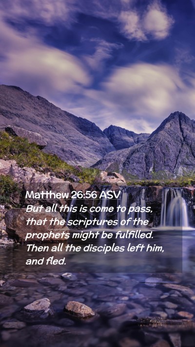 Picture 02 - Matthew 26:56 ASV Mobile Phone Wallpaper - But all this is come to pass, that the scriptures - Mobile Bible Verse Wallpaper