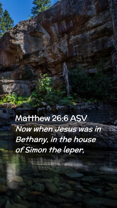 Picture 02 - Matthew 26:6 ASV Mobile Phone Wallpaper - Now when Jesus was in Bethany, in the house of - Mobile Bible Verse Wallpaper