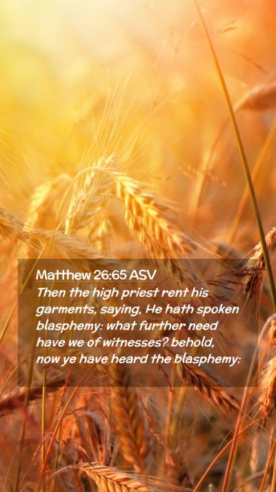 Picture 02 - Matthew 26:65 ASV Mobile Phone Wallpaper - Then the high priest rent his garments, saying, - Mobile Bible Verse Wallpaper