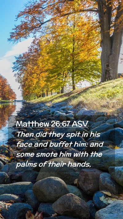 Picture 02 - Matthew 26:67 ASV Mobile Phone Wallpaper - Then did they spit in his face and buffet him: - Mobile Bible Verse Wallpaper