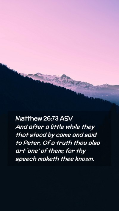 Picture 02 - Matthew 26:73 ASV Mobile Phone Wallpaper - And after a little while they that stood by came - Mobile Bible Verse Wallpaper