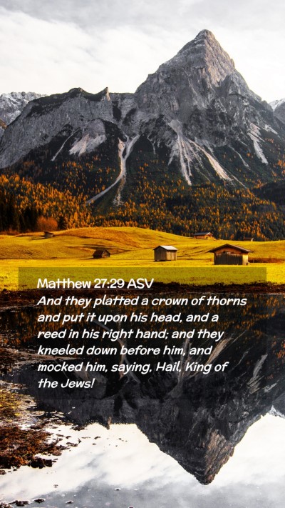 Picture 02 - Matthew 27:29 ASV Mobile Phone Wallpaper - And they platted a crown of thorns and put it - Mobile Bible Verse Wallpaper