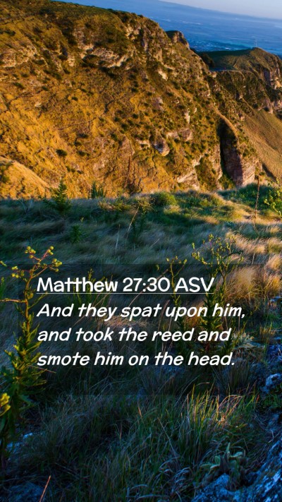 Picture 02 - Matthew 27:30 ASV Mobile Phone Wallpaper - And they spat upon him, and took the reed and - Mobile Bible Verse Wallpaper