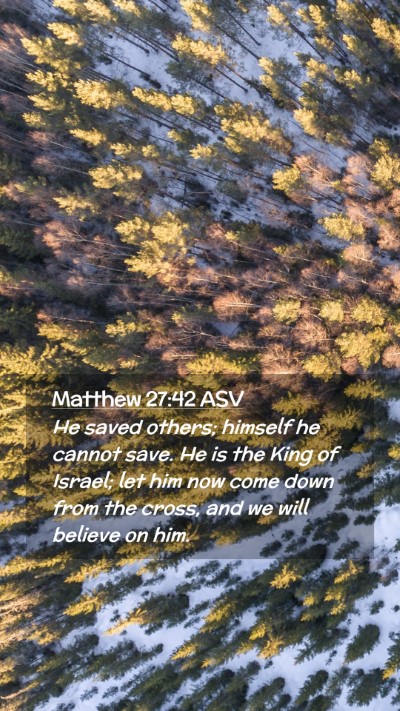 Picture 02 - Matthew 27:42 ASV Mobile Phone Wallpaper - He saved others; himself he cannot save. He is - Mobile Bible Verse Wallpaper
